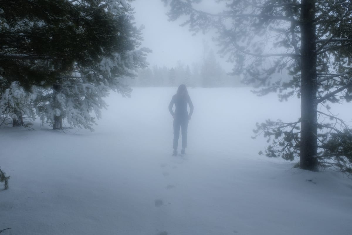 Isabel Pine silhouetted in heavy fog on snow-covered path, pine trees flanking, blue-gray atmospheric tones. Photo by Nelson Moneo.