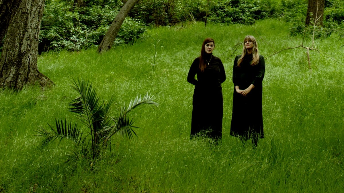 Julianna Barwick and Mary Lattimore stand on either side of a massive tree trunk in a lush green forest, one in black and one in dark green. Photo by Rachael Cassells.