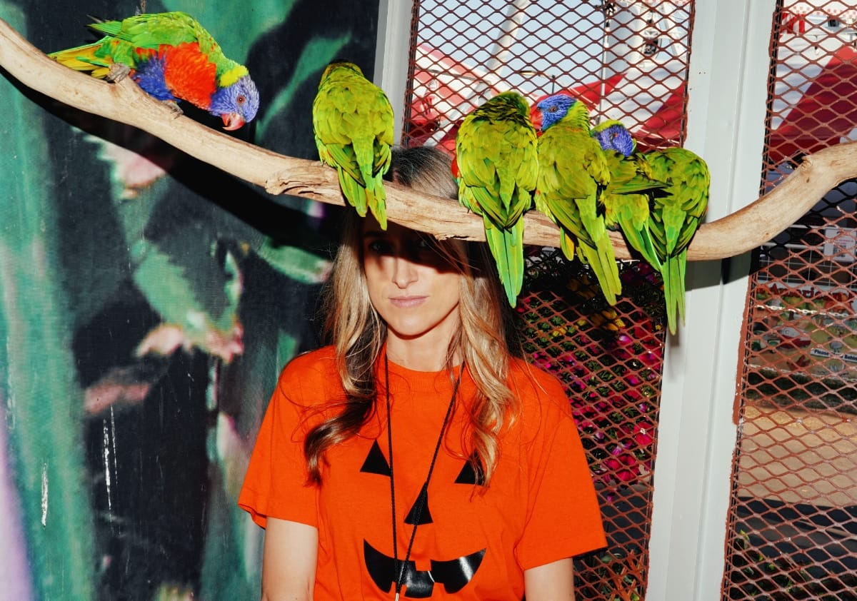 Tending the Earth with Artistic Plowshares feature image