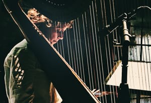 Zeena Parkins performs on electric harp with microphones, warm theatrical lighting against dark background, angular composition. Photo by Claire Paul.