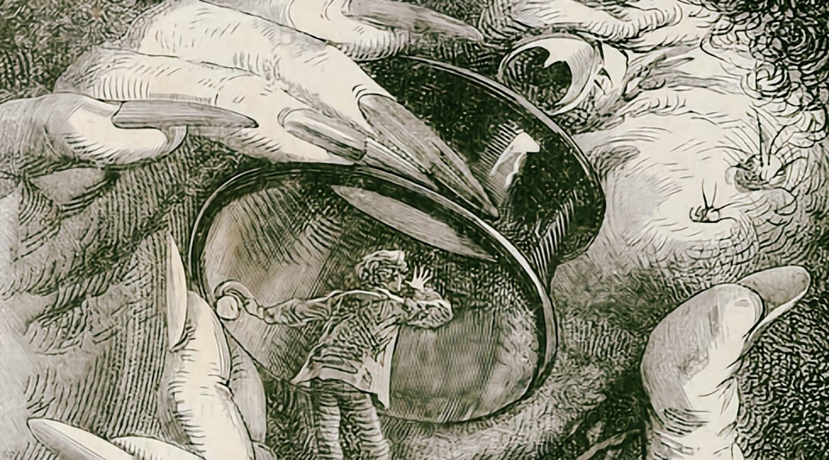  feature image