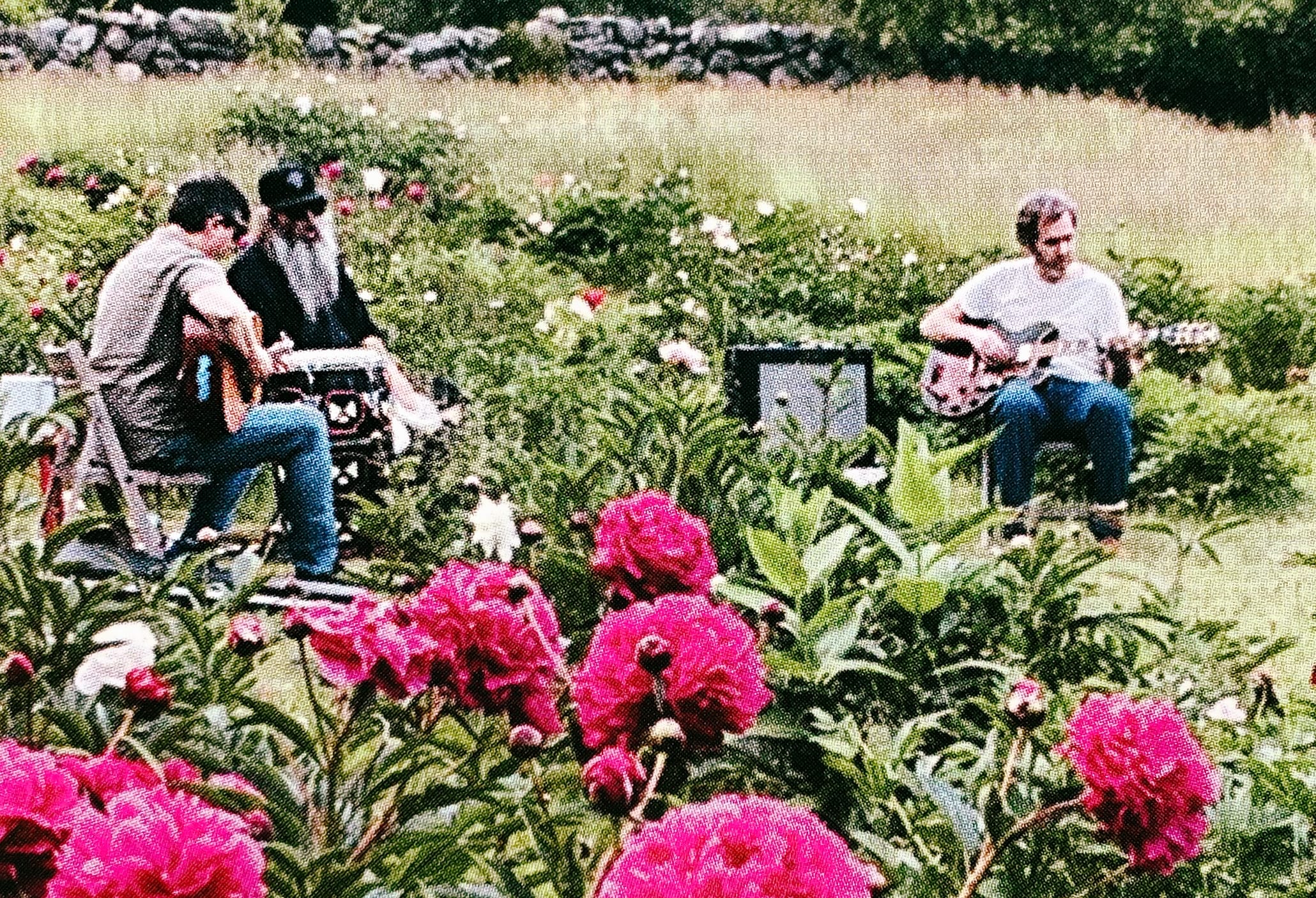 Rhode Island's Paper Jays Build a Nest of Sound feature image